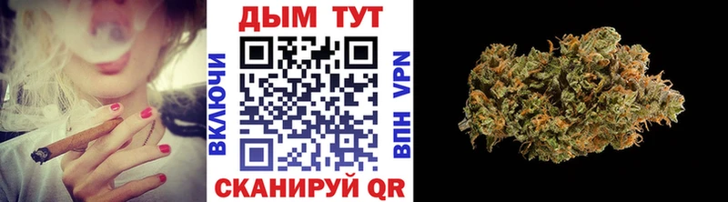 Шишки марихуана план мега как зайти Шарья